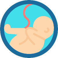 Pregnancy Due Date Calculator