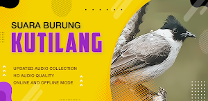 Suara Burung Kutilang Screenshot 0