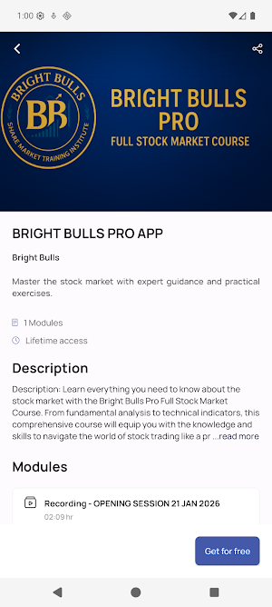 BRIGHT BULLS Screenshot 1