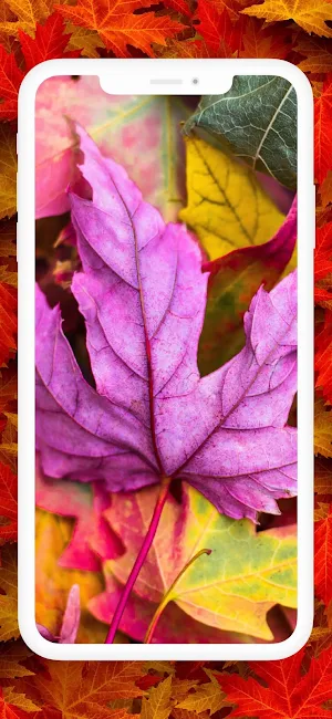 Autumn Live Wallpapers Screenshot 3