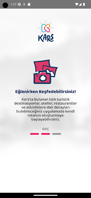 Karstayız Screenshot 0
