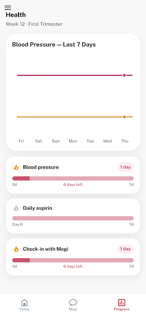 MEGI Screenshot 2