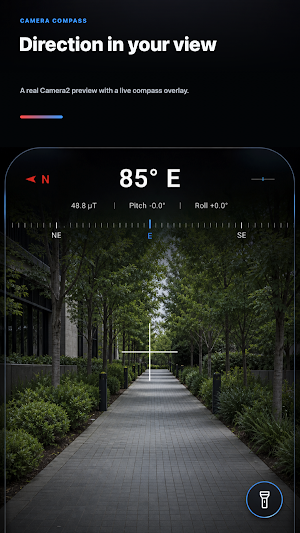 NorthStar Compass Screenshot 0