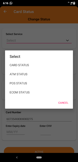 RNSB Card Control Screenshot 3