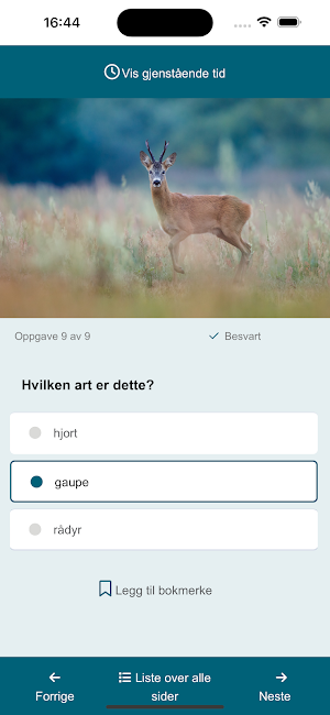 Jegerprøveeksamen Screenshot 2