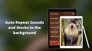 Baboon Sounds Screenshot 3