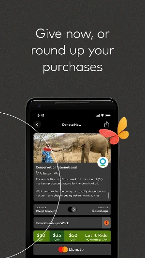 Mastercard Donate Screenshot 2