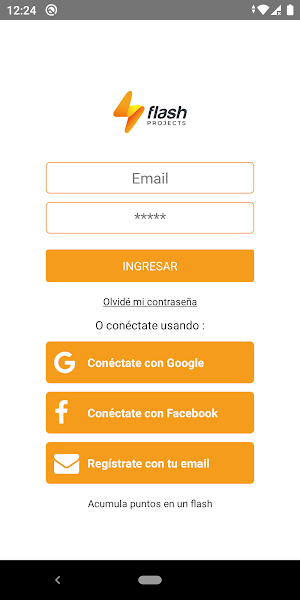 Flash Projects Screenshot 0
