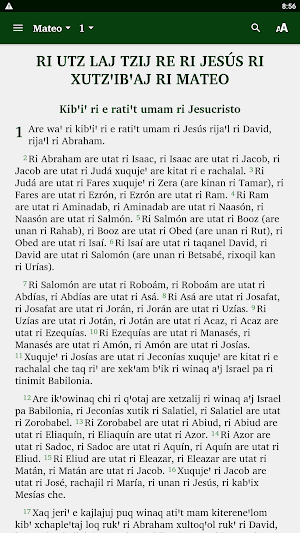 Kꞌicheꞌ Totonicatapán Bible Screenshot 0