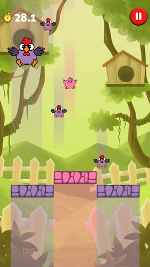 Catch The Chicken Screenshot 0