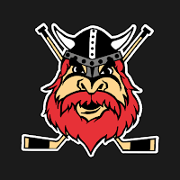 Nybro Vikings Partner