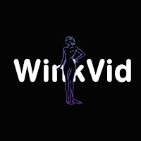 AI Video Studio: Winkvid