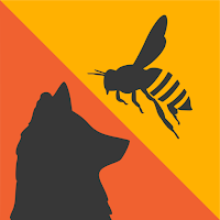 Foxbee