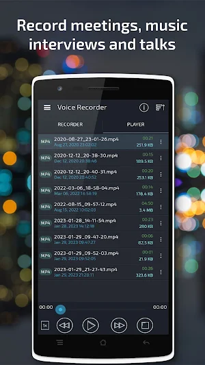 Voice Recorder Screenshot 1