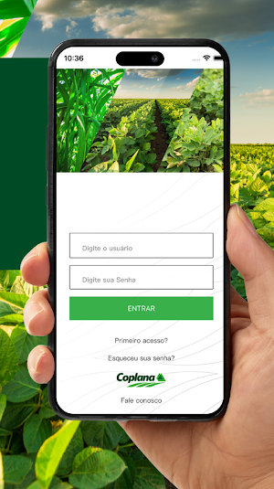 Coplana Screenshot 1