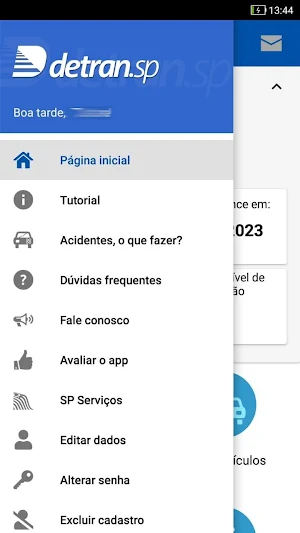 Detran.SP Screenshot 2