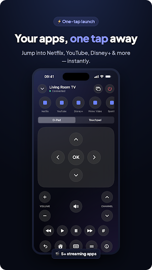 TV Remote Control for Smart TV Screenshot 3