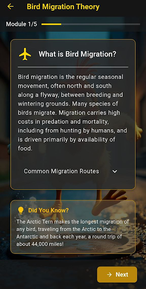 B9 Game & Play Now Screenshot 3