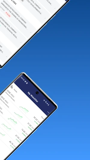 Advanced Investor Relations Screenshot 2