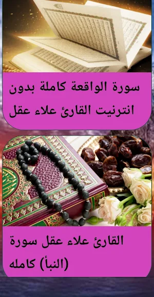 القرآن بدون نت بصوت علاء عقل Screenshot 2