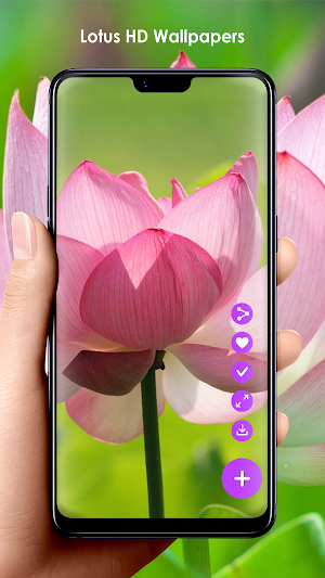 Lotus HD Wallpapers Screenshot 0