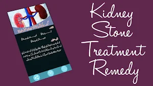 Kidney Stone Treatment Remedy Screenshot 1