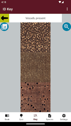 WhatWood? Ghana Ed. Screenshot 3