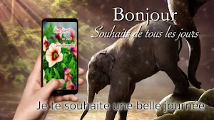 Good Morning Everyday Greetings in French Screenshot 1