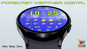 Forecast Weather Digital Screenshot 3