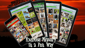 Memory Match - Jungle Animals Screenshot 0