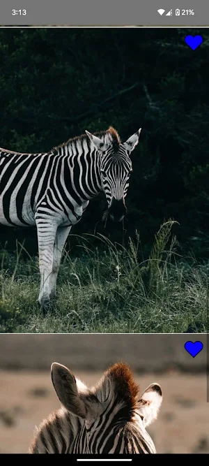Elegant Zebra Wallpapers Screenshot 3