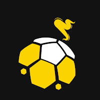 Gol Kokusu
