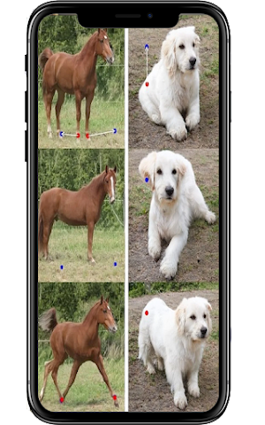 DragGan AI 3D image Screenshot 0