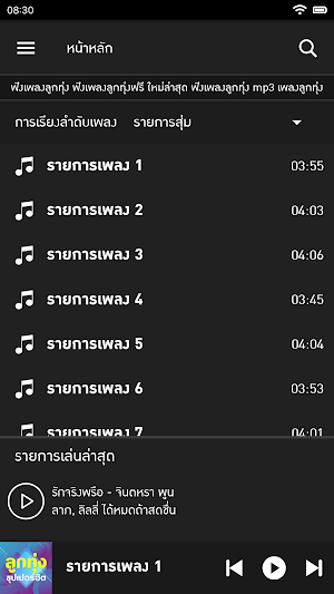 เพลงลูกทุ่งรวมฮิต Screenshot 0
