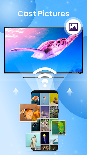 Screen Mirroring - Cast To TV Screenshot 3
