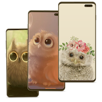 Baby Owl Wallpaper HD 4K