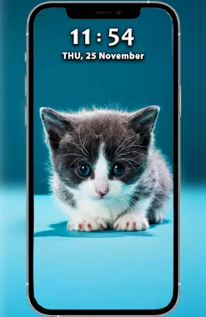 Cute Cat Wallpaper Offline HD Screenshot 1