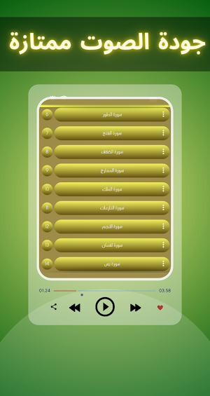 القارئ انس براق - بدون نت Screenshot 2