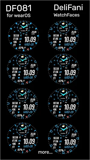 DF081 Screenshot 3