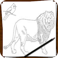 Draw Animals Step by Step