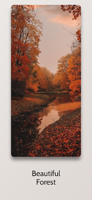 Beautiful  Autumn Wallpaper HD Screenshot 1