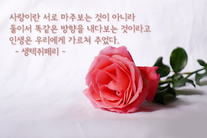 사랑 이미지 Screenshot 3