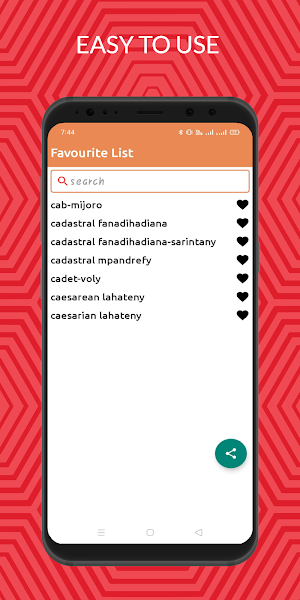 Malagasy To English Dictionary Screenshot 3