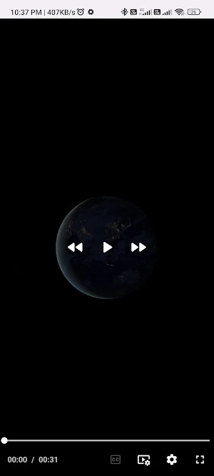 RedGifs Video Downloader Screenshot 3