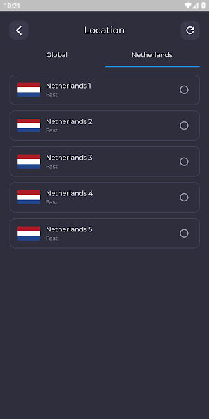 Netherlands VPN: Secure & Fast Screenshot 2