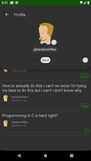 NerdsOverFlow Screenshot 2