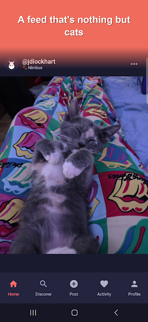 Show Me Your Kitties Screenshot 0