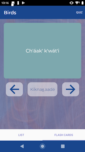 SHI: Learning Lingít Screenshot 2