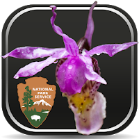 DenaliFlora Interactive Key