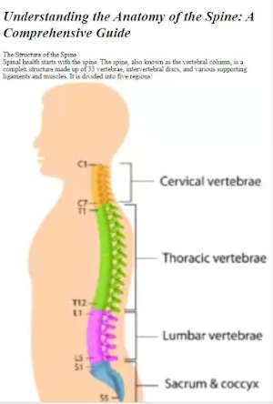 Chiropractic Adjustment Guide Screenshot 1